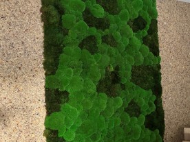 Vorraum 5