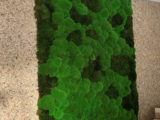 Vorraum 5